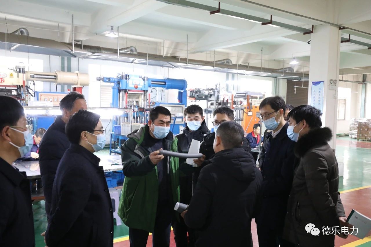 湖北理工學(xué)院博士團(tuán)赴德樂電力展開技術(shù)合作活動